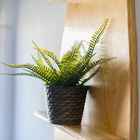Levante Dreams House Apartment Tarifa